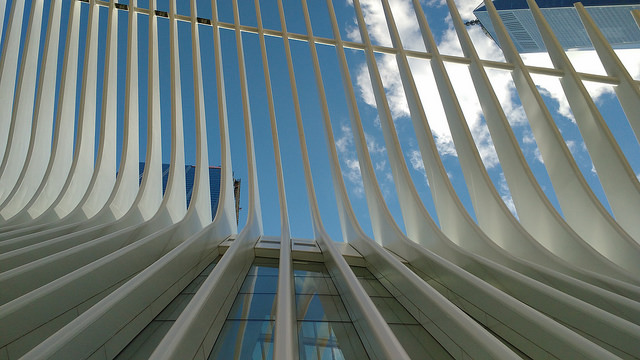 A letter to Santiago Calatrava